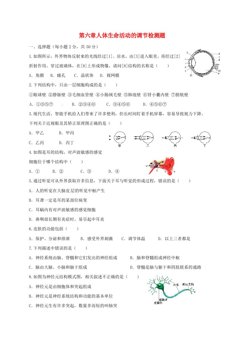 2021七年级生物下册第六章人体生命活动的调节单元检测练习新版新人教版