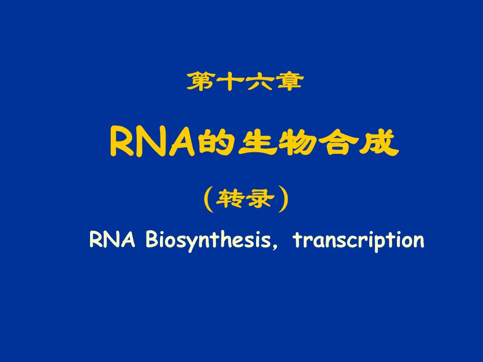 《生物化学教学课件》rna