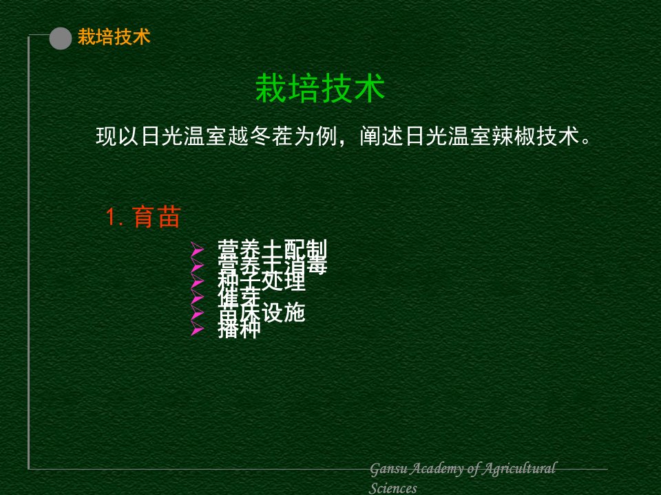 日光温室辣椒栽培技术教学提纲