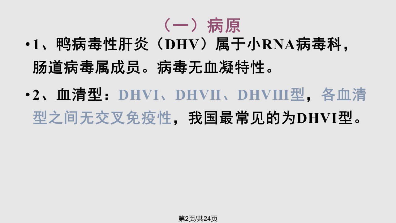 鸭病毒性肝炎DVH