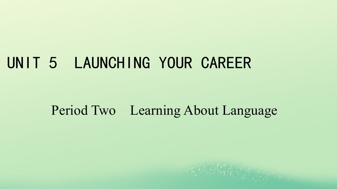 新教材同步系列2024春高中英语Unit5LaunchingYourCareerPeriod2LearningAboutLanguage课件新人教版选择性必修第四册