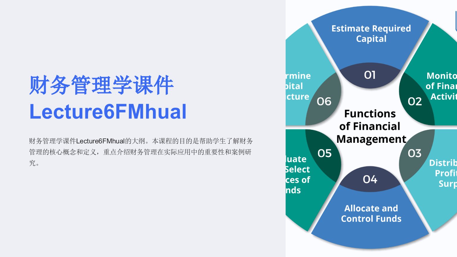 财务管理学课件Lecture6FMhual