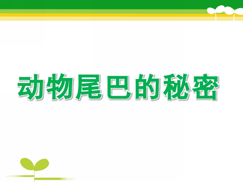 大班科学《动物尾巴的秘密》PPT课件教案动物尾巴的秘密