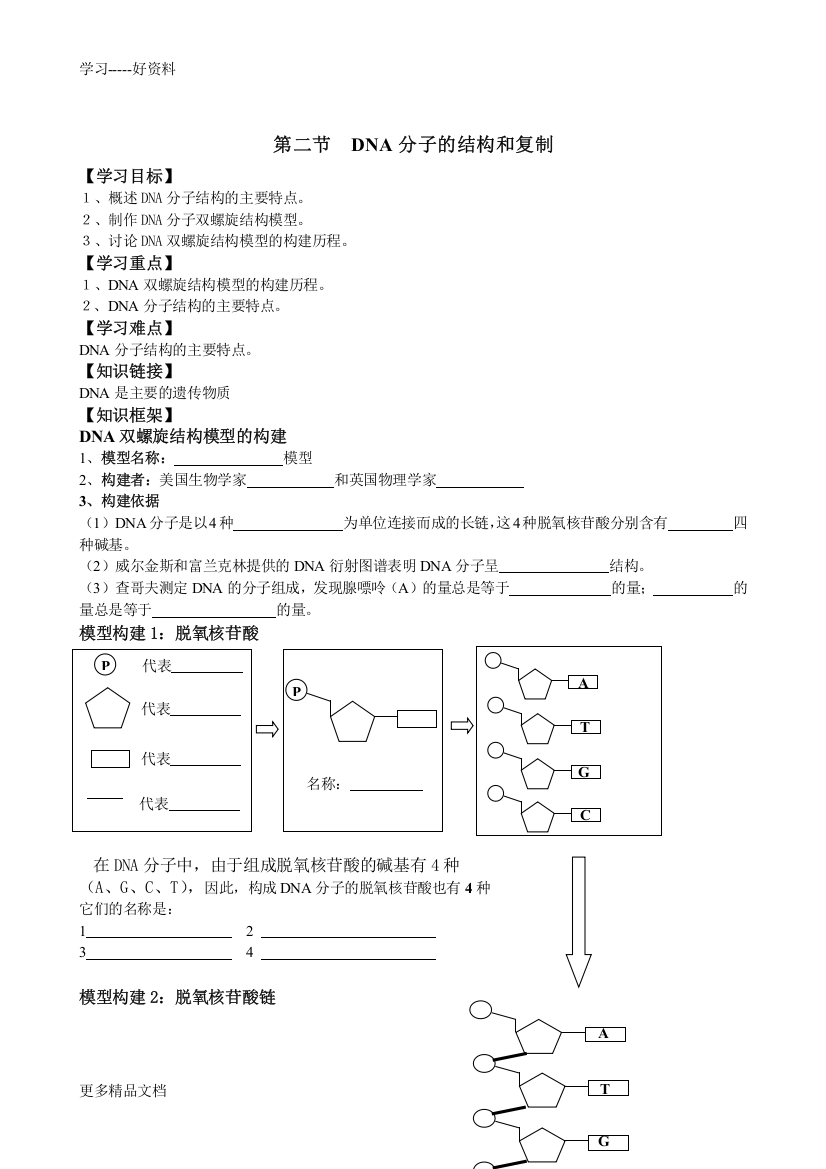 DNA分子结构导学案