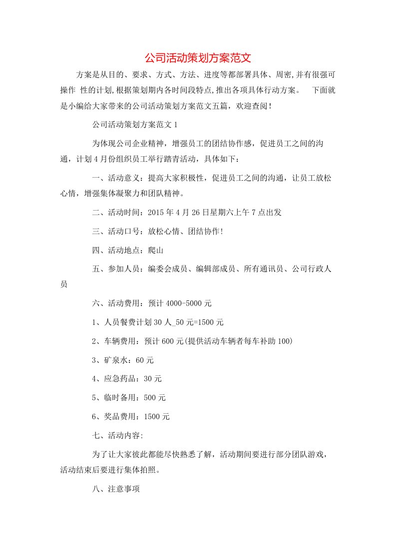 公司活动策划方案范文