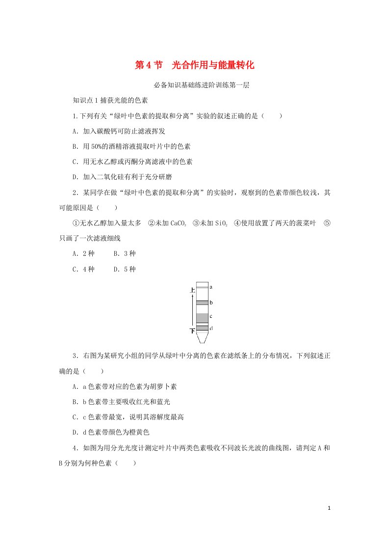 2023版新教材高中生物第5章细胞的能量供应和利用第4节光合作用与能量转化课时作业新人教版必修1