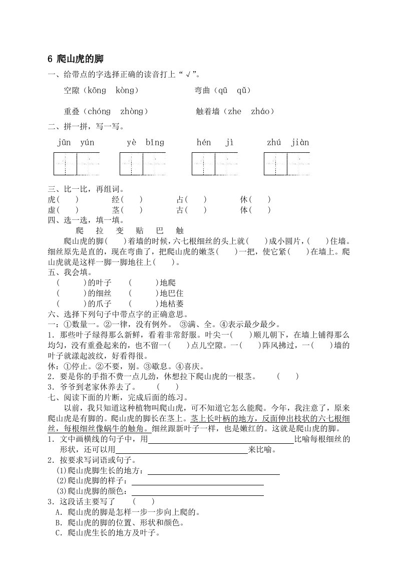 6.爬山虎的脚课后作业1