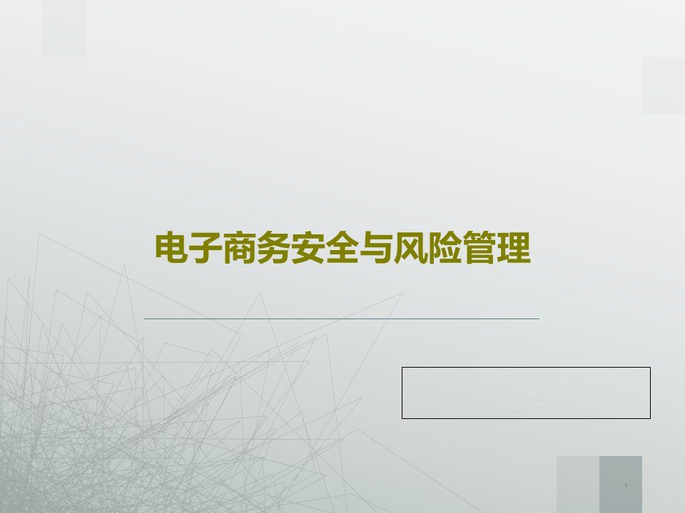 电子商务安全与风险管理课件