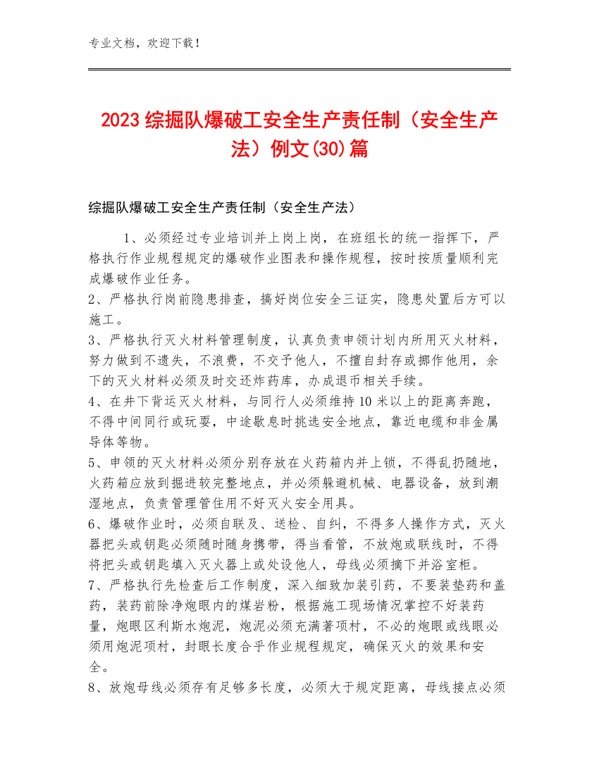 2023综掘队爆破工安全生产责任制（安全生产法）例文(30)篇