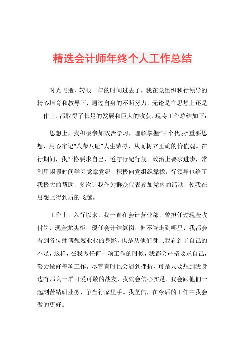 精选会计师年终个人工作总结