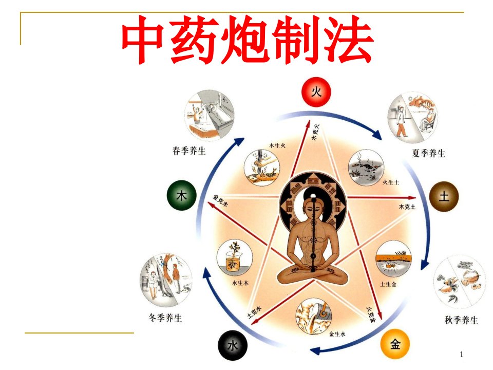 中药炮制的方法ppt参考幻灯片