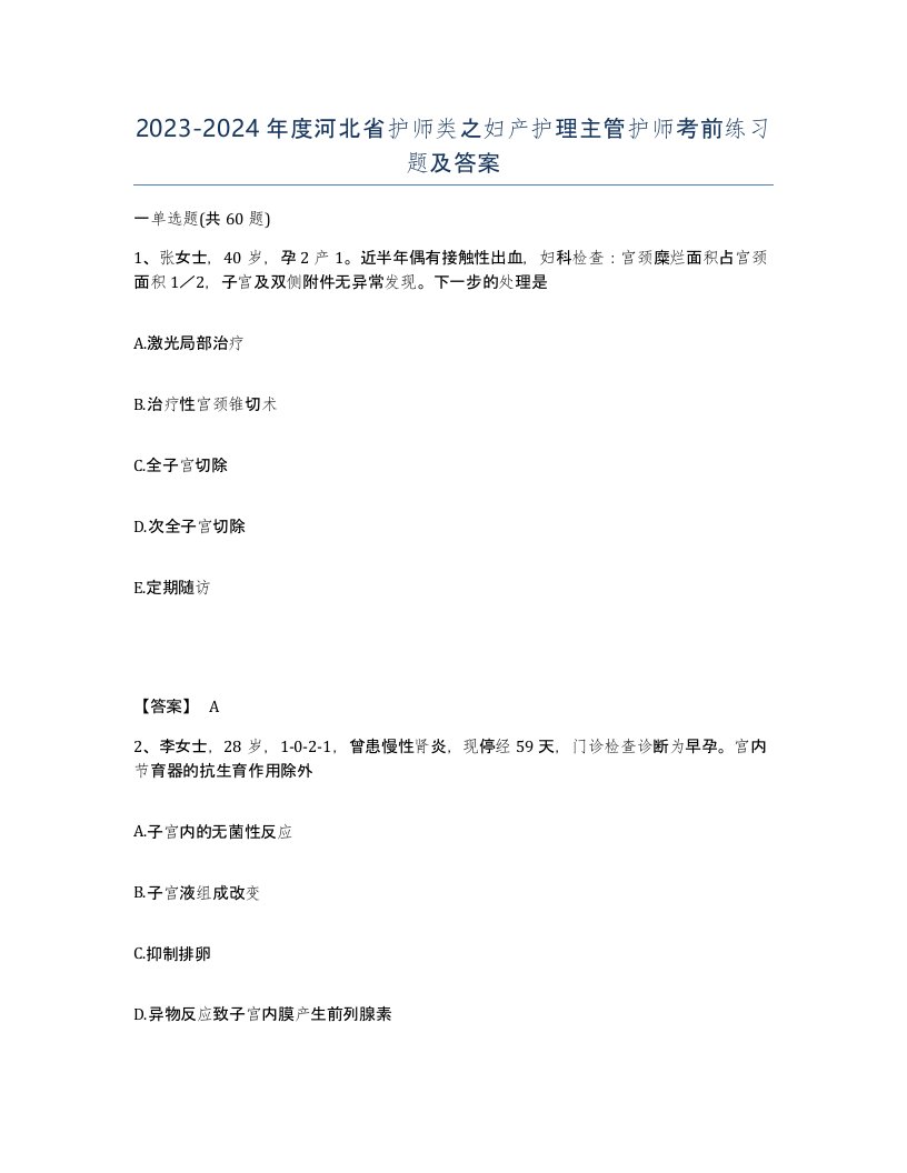 2023-2024年度河北省护师类之妇产护理主管护师考前练习题及答案