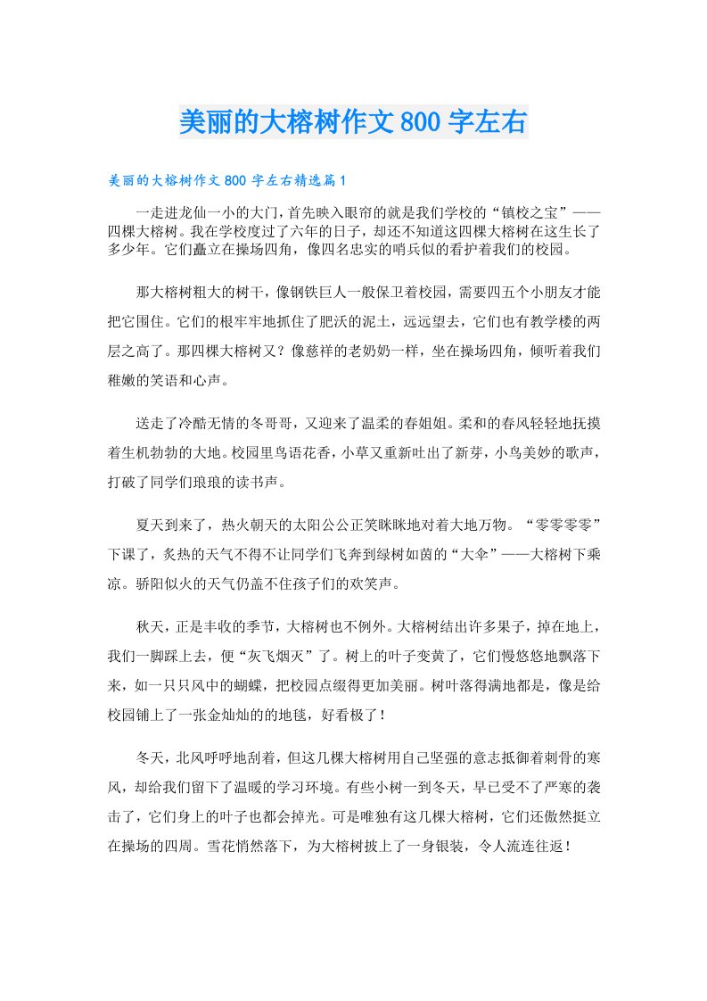 美丽的大榕树作文800字左右