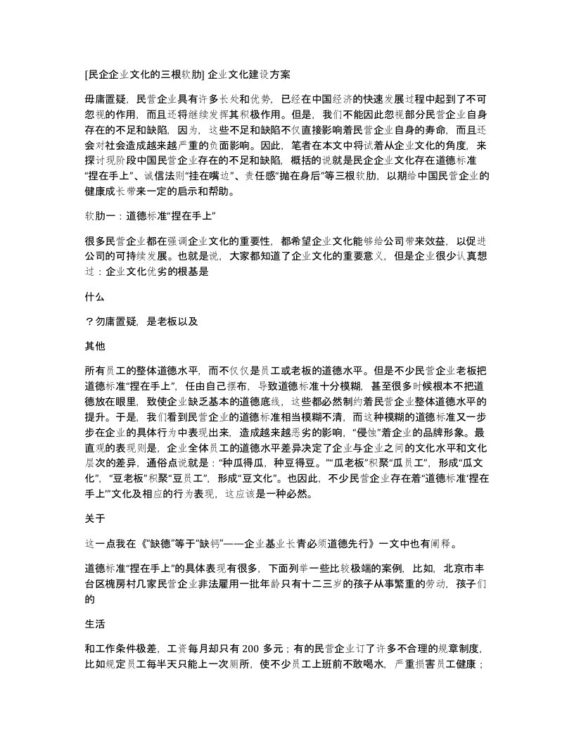 民企企业文化的三根软肋企业文化建设方案