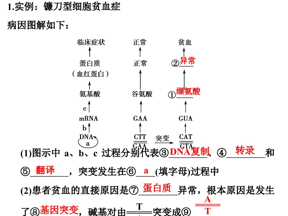 基因突变及其他变异复习ppt课件