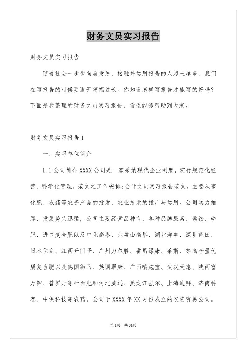 财务文员实习报告范本