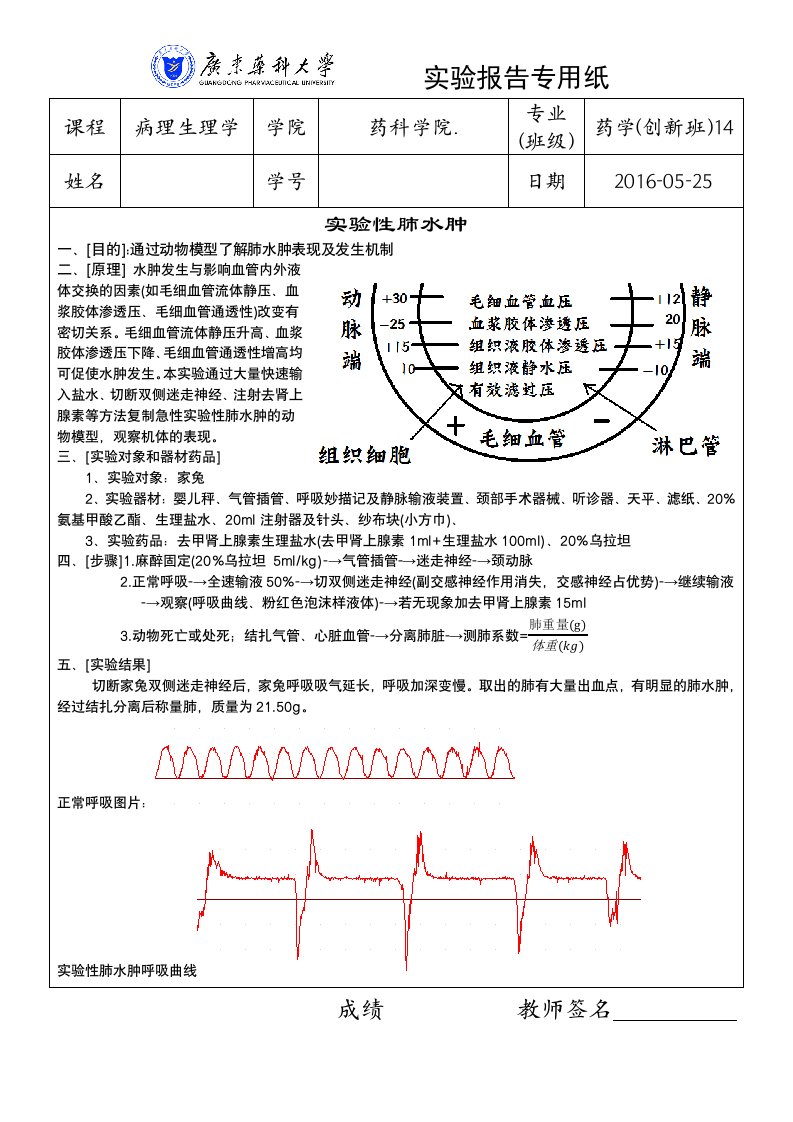 实验性肺水肿