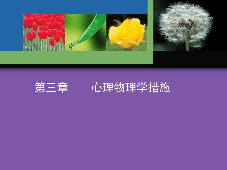 实验心理学心理物理学方法