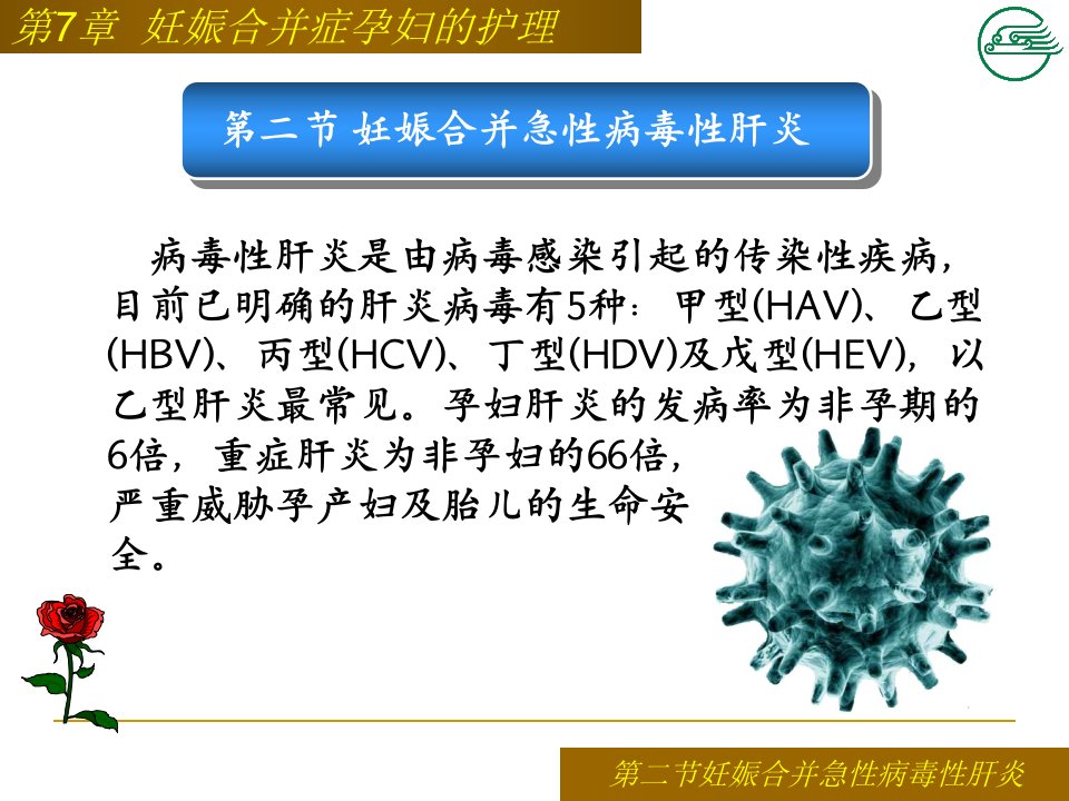 第二节妊娠合并病毒性肝炎患者的护理