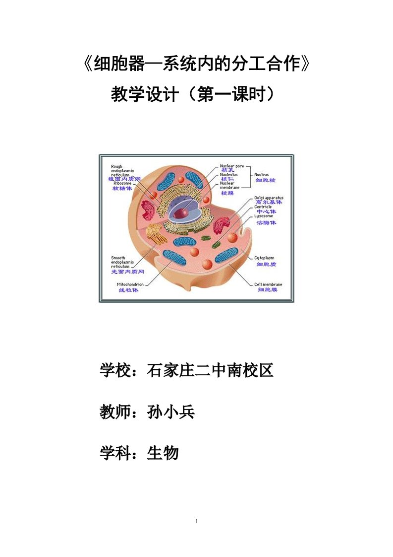 细胞器-系统内的分工合作资料教学设计