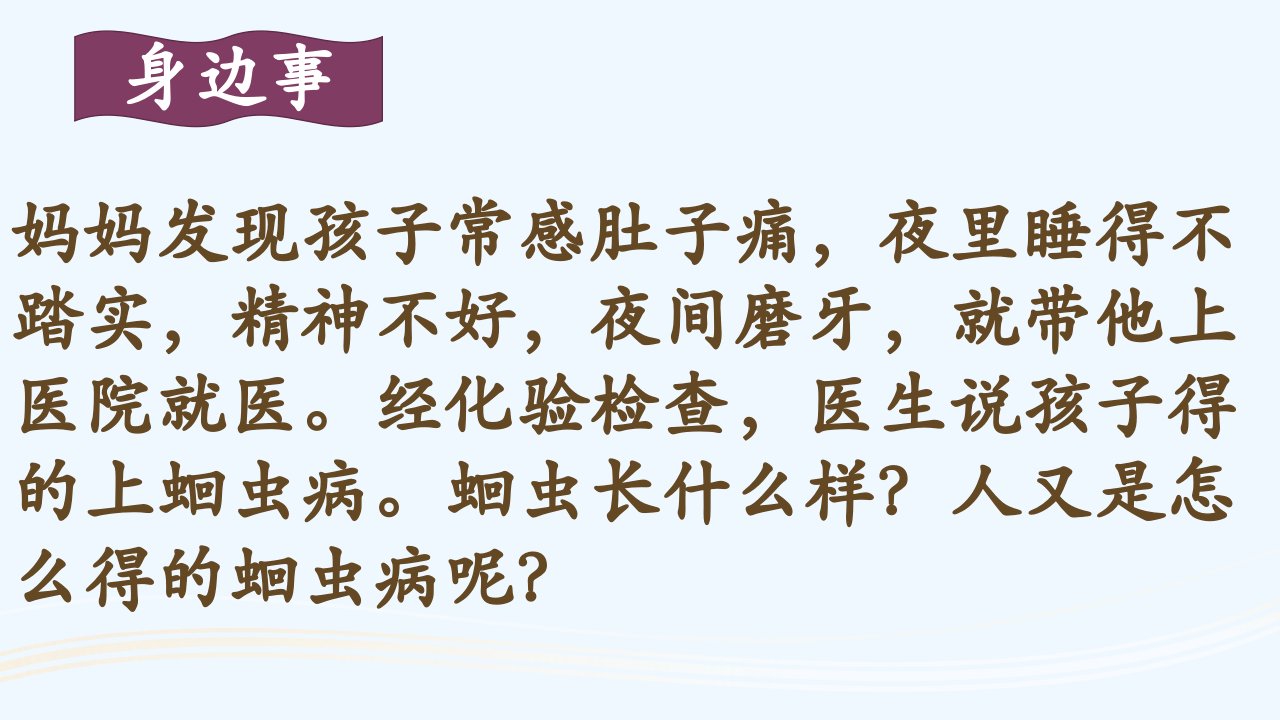 冀教版生物七年级上册课件：4.3