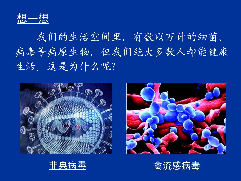 高二生物动物体的细胞识别和免疫