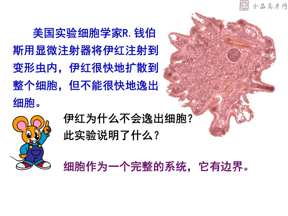 复件曾都一高一细胞膜生物课件