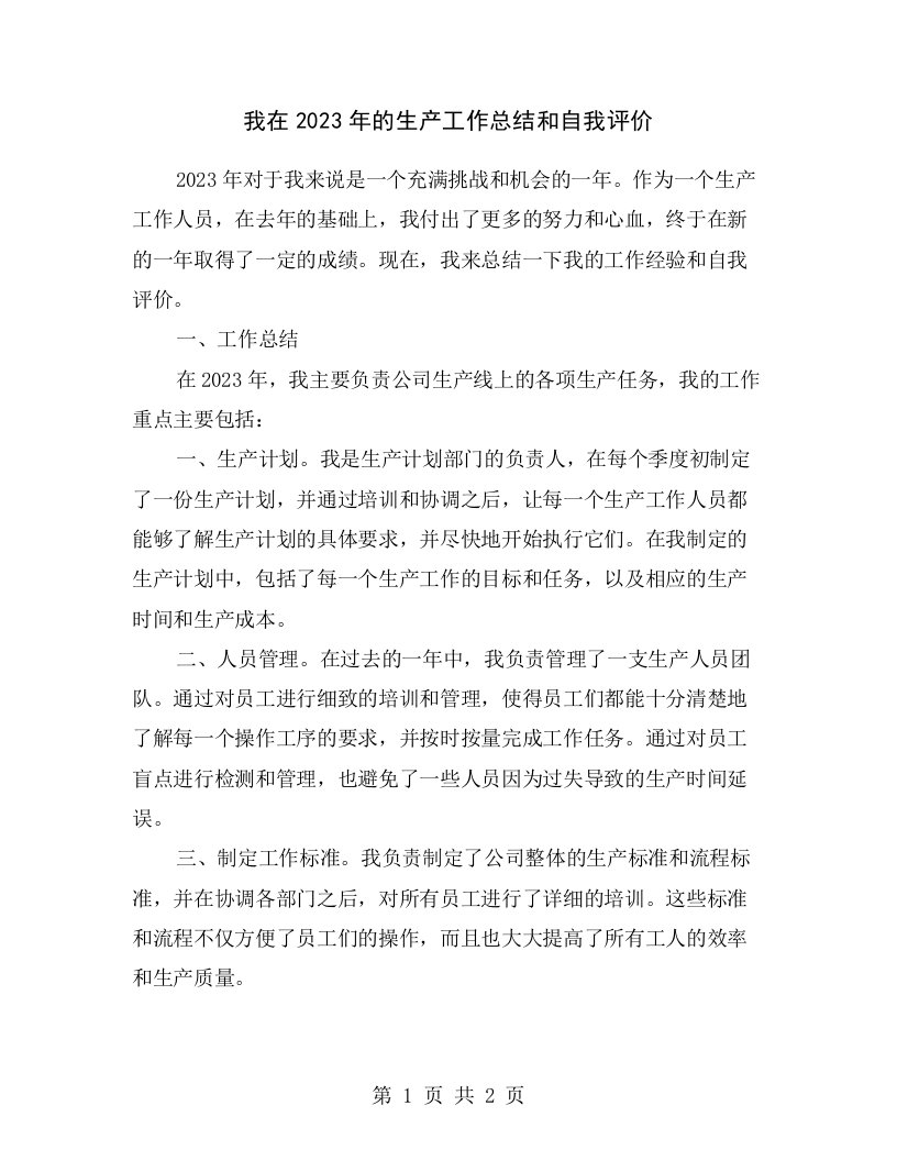 我在2023年的生产工作总结和自我评价