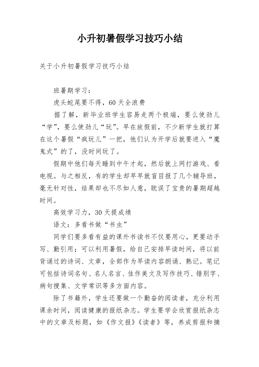 小升初暑假学习技巧小结