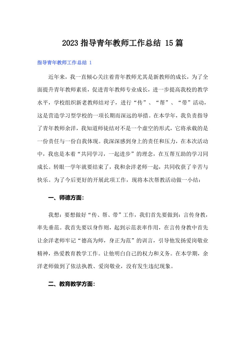 2023指导青年教师工作总结