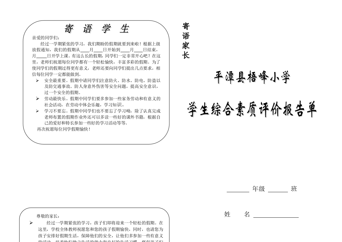 (完整word版)小学生综合素质评价报告单