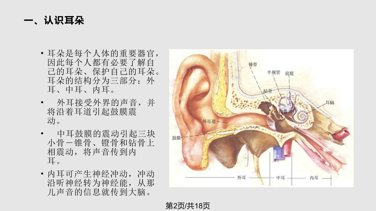 爱耳日幼儿园教育活动