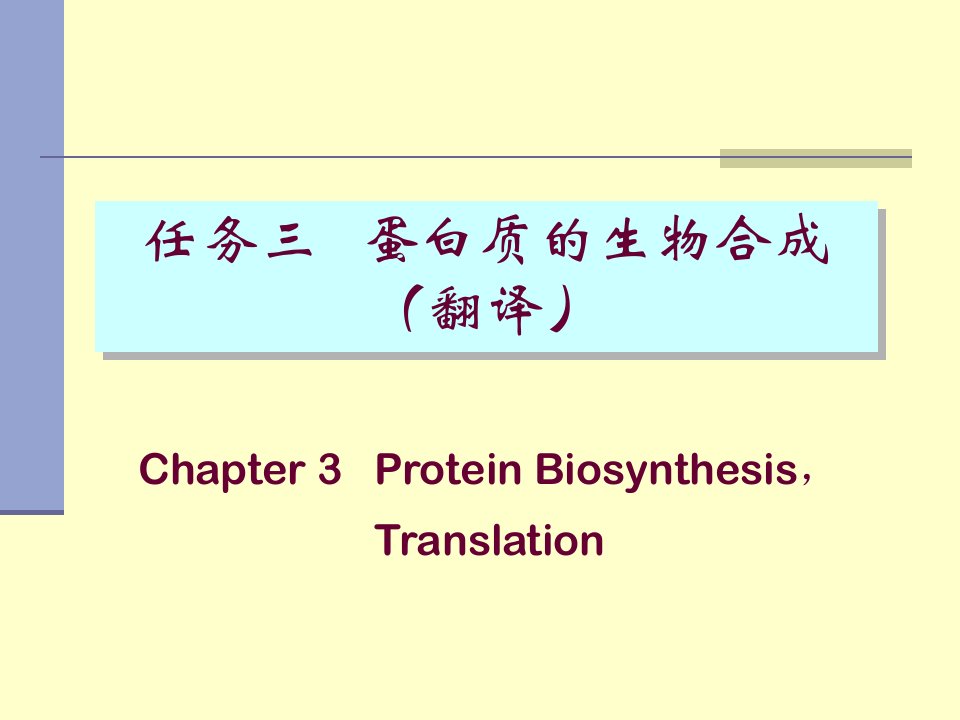 蛋白质的生物合成翻译