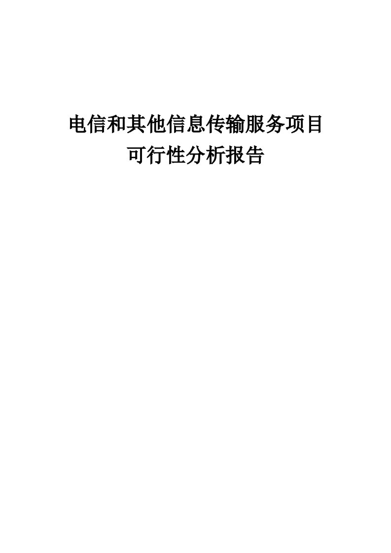 电信和其他信息传输服务项目可行性分析报告