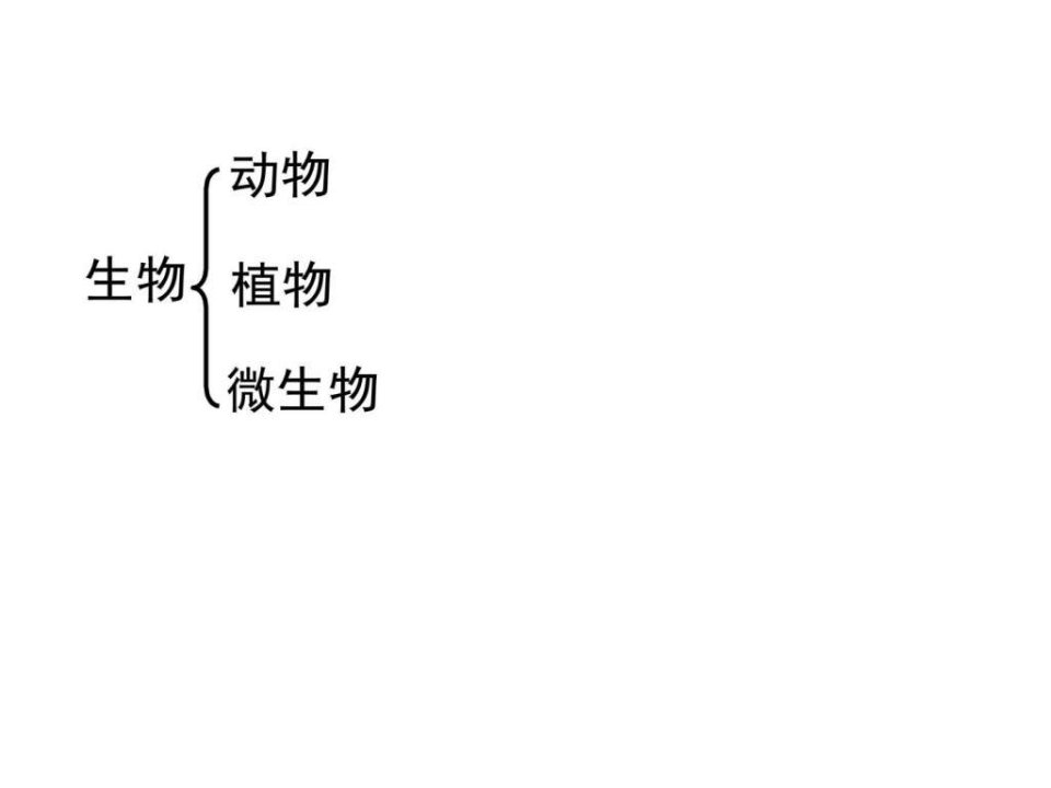 生物分类49课件