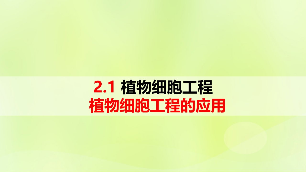 新教材同步备课2024春高中生物第2章细胞工程第1节植物细胞工程1.2植物细胞工程的应用课件新人教版选择性必修3