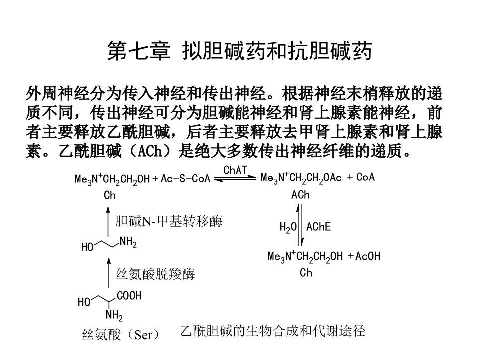 药物化学拟胆碱药和抗胆碱药课件