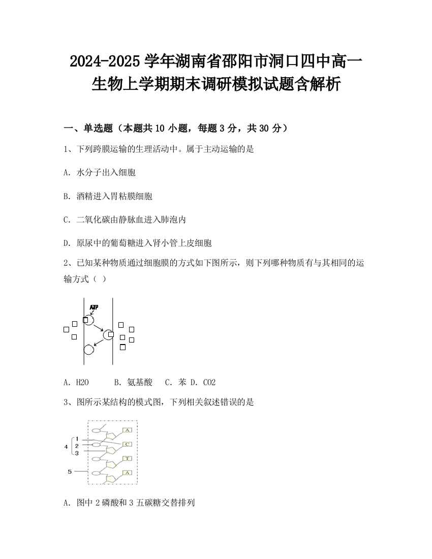 2024-2025学年湖南省邵阳市洞口四中高一生物上学期期末调研模拟试题含解析