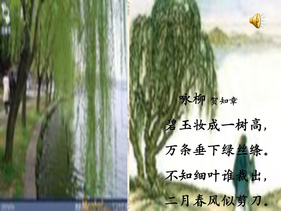 写字课撇的写法课件