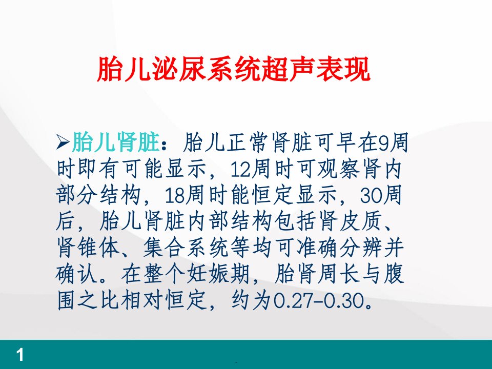 胎儿泌尿系统畸形超声检查医学PPT课件