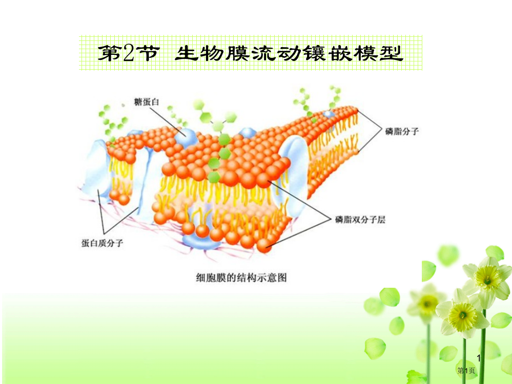 生物膜结构的探索历程省公共课一等奖全国赛课获奖课件