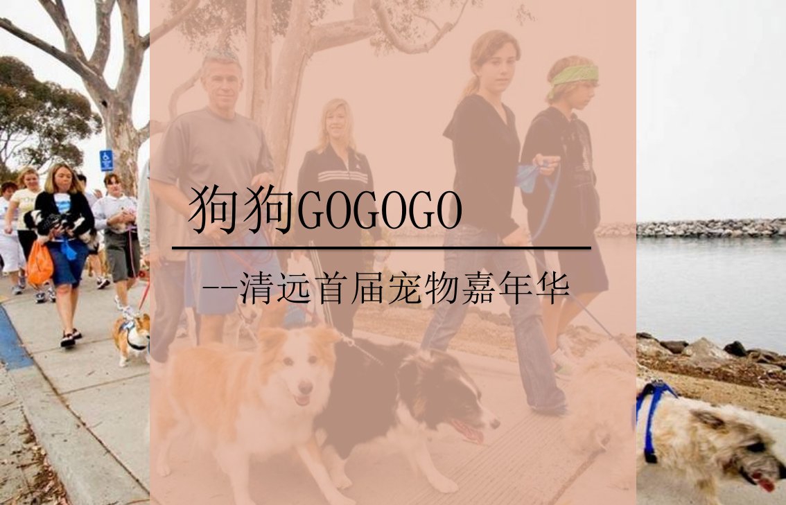 【狗狗GOGOGO】清远首届宠物嘉年华活动方案