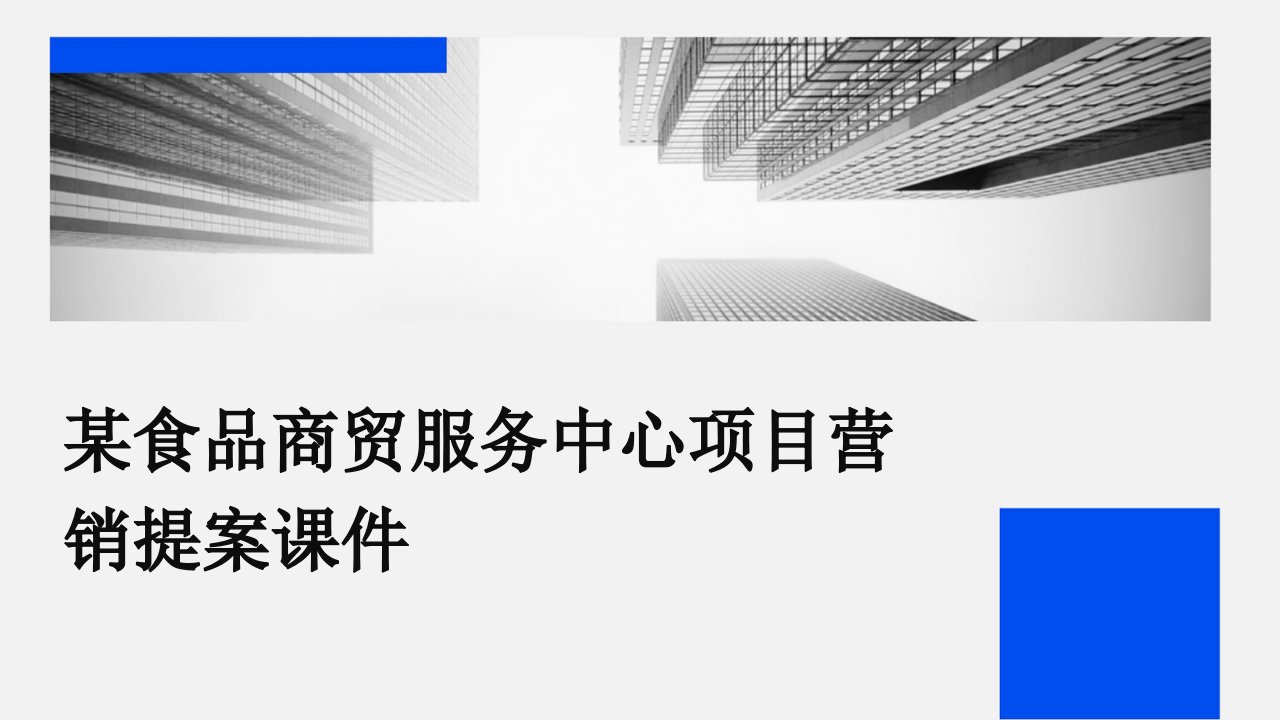 某食品商贸服务中心项目营销提案课件