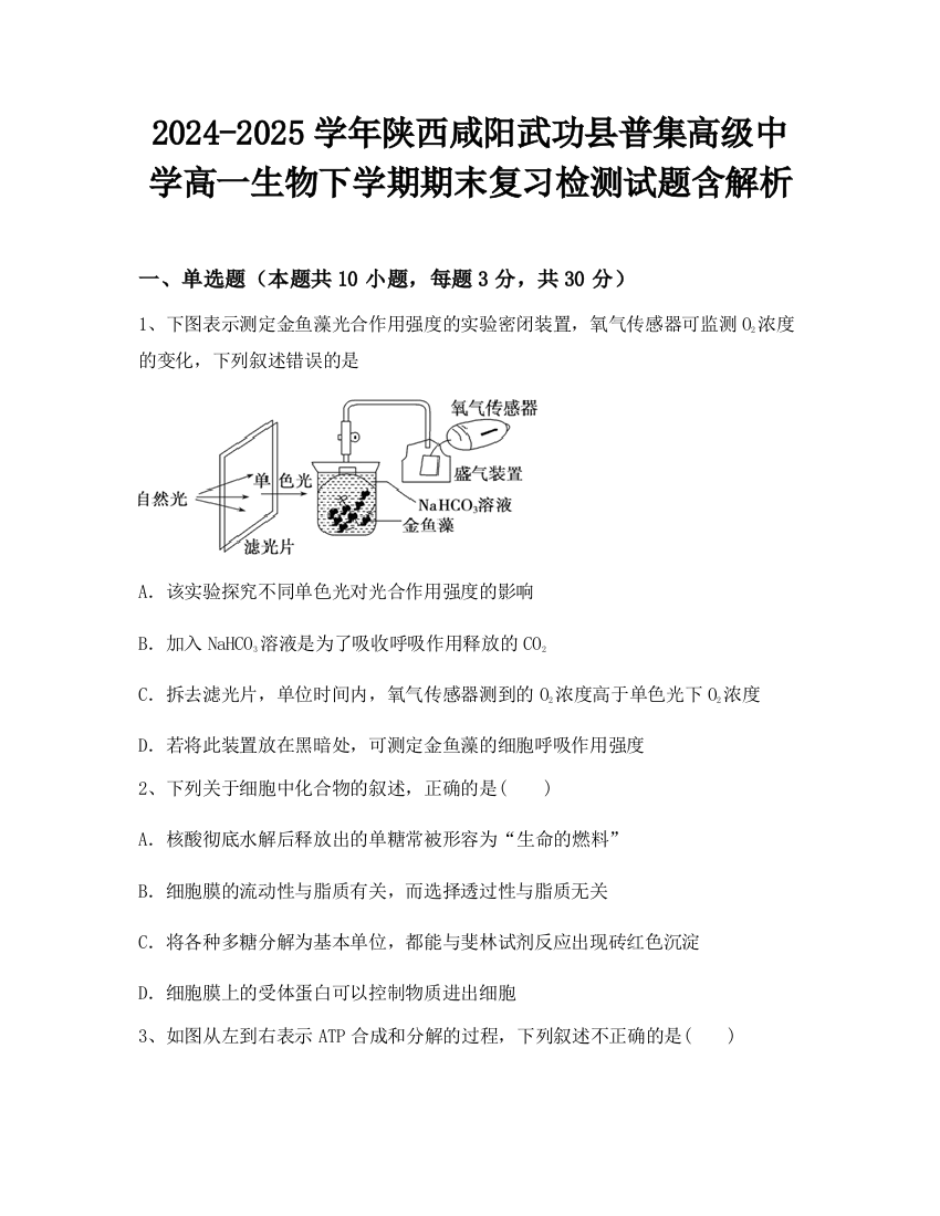 2024-2025学年陕西咸阳武功县普集高级中学高一生物下学期期末复习检测试题含解析