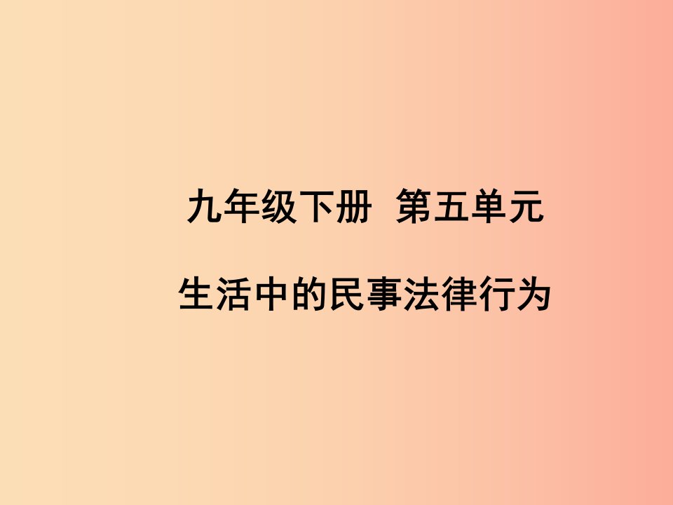 （聊城专版）2019年中考道德与法治总复习