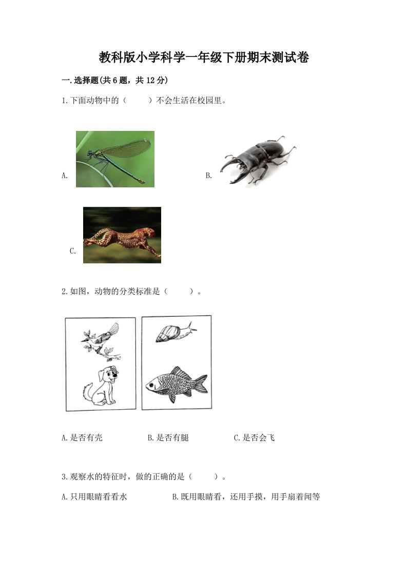 教科版小学科学一年级下册期末测试卷【完整版】