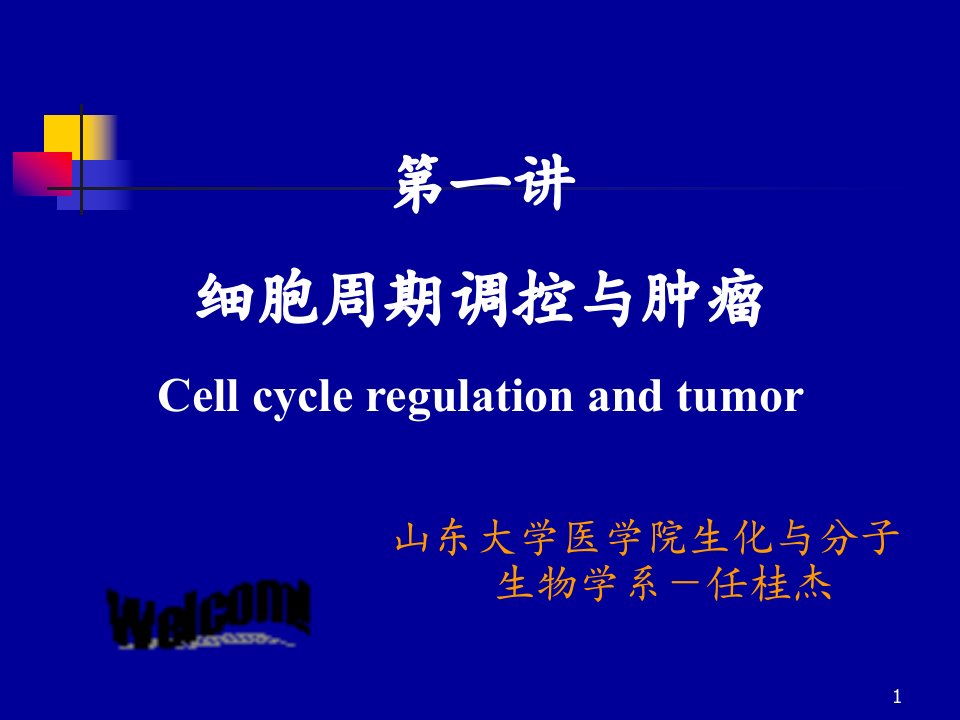 真核细胞周期调控与肿瘤