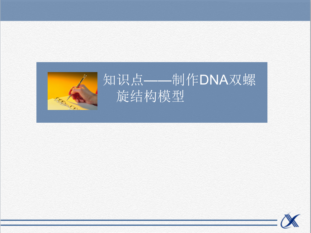 知识点-制作DNA双螺旋结构模型