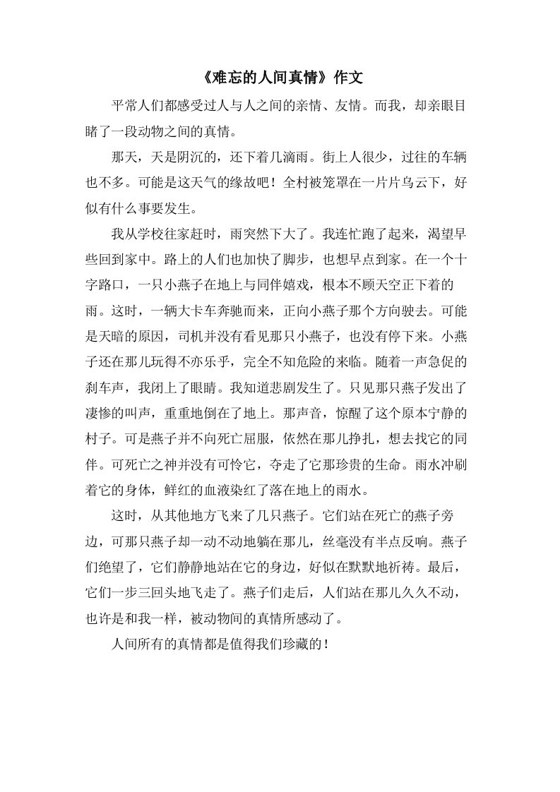 《难忘的人间真情》作文