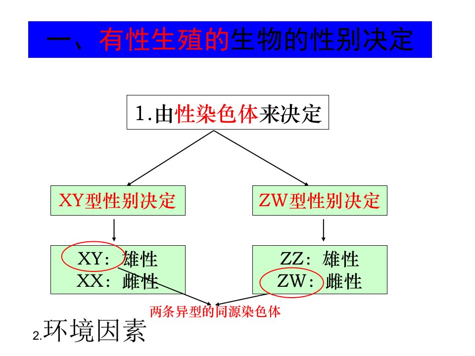 破解伴性遗传难题五法ppt课件